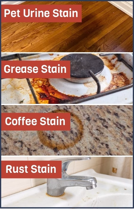 Pet urine stains, grease stains, coffee stains, and rust stains