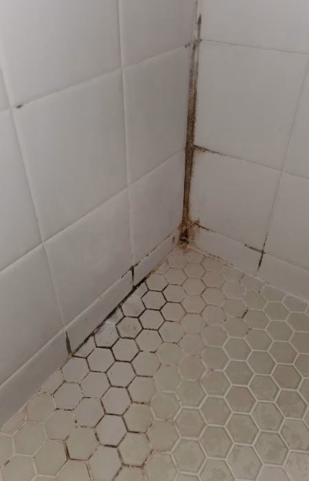 Mineral buildup stains on bathroom tiles